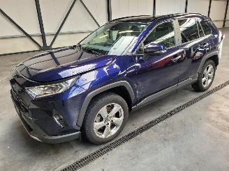 dommages fourgonnettes/vécules utilitaires Toyota Rav-4 Hybrid 2.5 131-KW Automaat 2-WD Panoramadak 2019/1